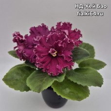 НД-Кей-Бао